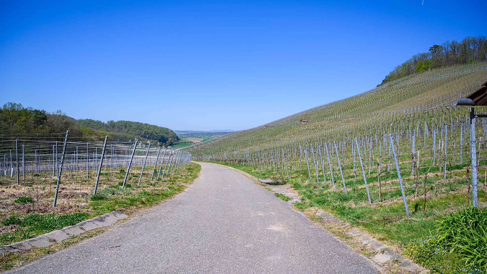 Barboursville Vineyards