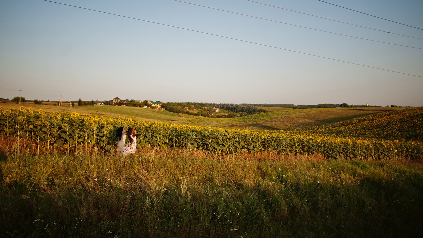 Becker Vineyards